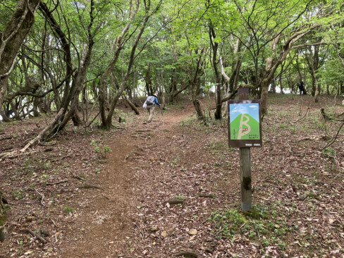 東峰直下、稜線に出て一気に花の話題が多くなりました。気分も晴れやかです。