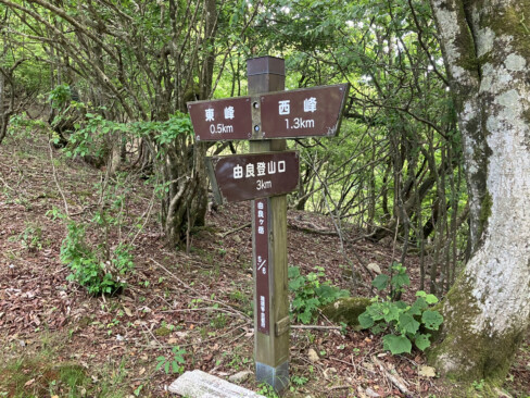 登山口から急登を登ること約1時間40分ほどで稜線に出ました。