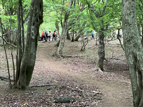 東峰から西峰への稜線の道、さあ昼食、足取りも軽く。