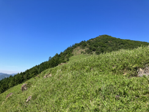 夏空に赤石ヶ岳の山容が映えます。手を伸ばせば届きそう。