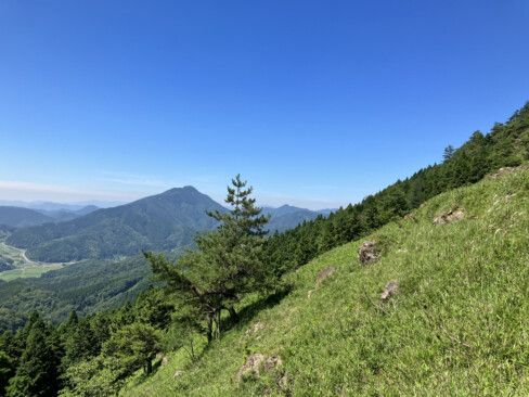 伸びやかな夏の山風景です。