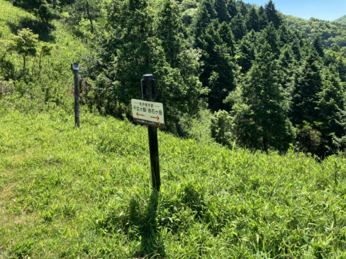 赤石ヶ岳と千丈ヶ嶽方面への分岐。笹の葉茂る気持ちのいい稜線に出ました。