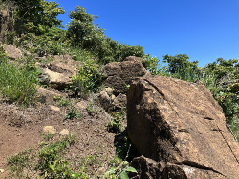 暫く進むと岩稜におおわれた急登になります。
