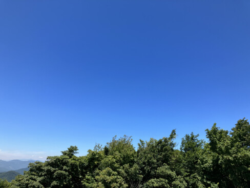 山頂から見上げたブルースカイ。雲量ゼロの快晴です。