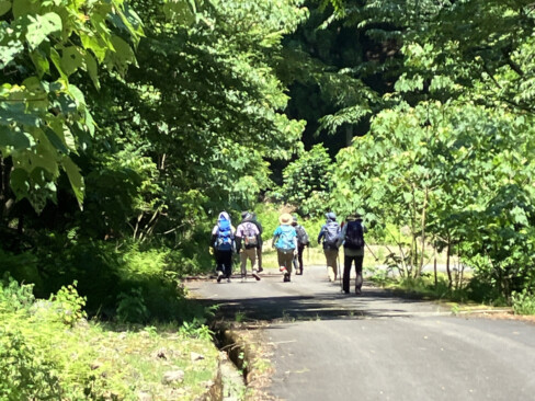 下山し、林道に戻ってからも車までひたすら歩きました。もうすぐ立山への夏企画がひかえています。