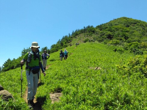 歩きやすい美しい道ですね。でもやっぱり暑い。