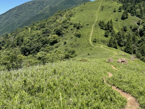振り返れば、稜線上の登山道が夏空に向かって伸びていくようです。広々として気分も晴れやかです。