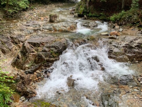 福知渓谷は、作家・田辺聖子さんもお気に入りの地だそうです。