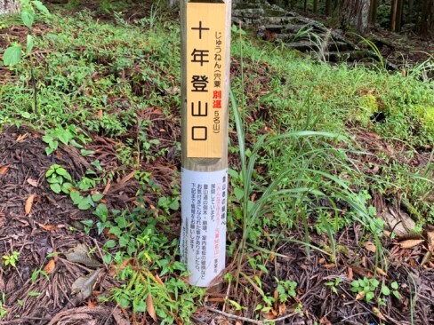 大森神社近くの登山口からスタート。
