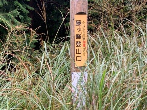 ススキの登山口です。