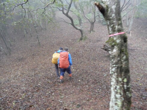 広い尾根や枝尾根の間違いやすいところが多いので、ピンクのテープを確認しながら歩きます。