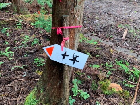 林道から山道へと入ります。標識もしっかりとしています。