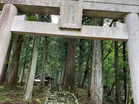 大森神社の大きな鳥居をくぐっていきます。