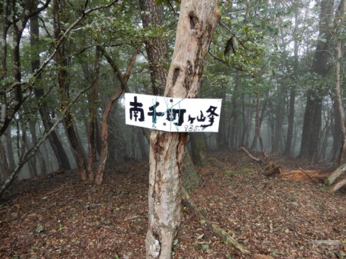 11時36分、南千町ケ峰に到着。標高985.6m。