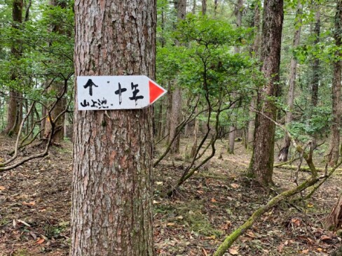 まずは、山上池を目指します。