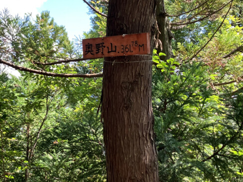 奥野山到着。展望はほとんどありません。