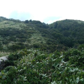 インディアン平原から岩籠山山頂を望む。
