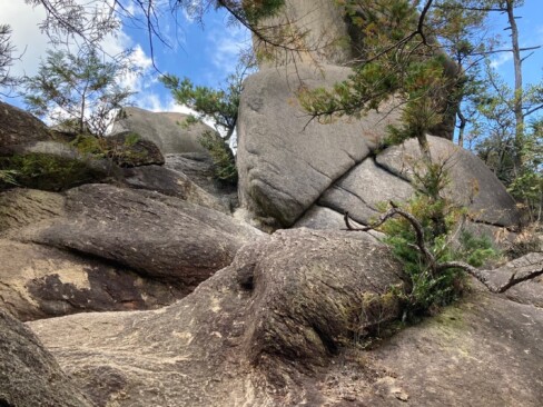 どっしりとそびえ立っています。