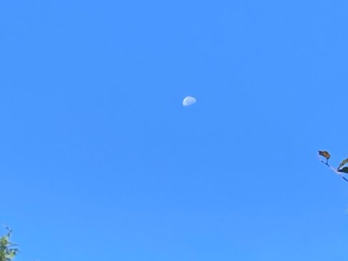 青い空にぽっかりと白いお月様。