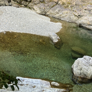 透明感のある美しい水面。
