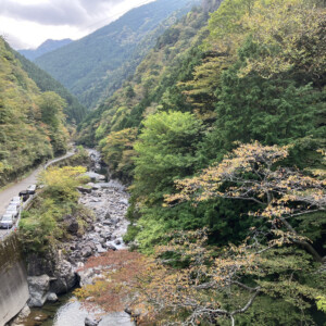 秋色に染まる樹々。もうピークも間近なようです。