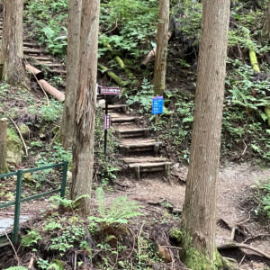 観音峰への登山口。