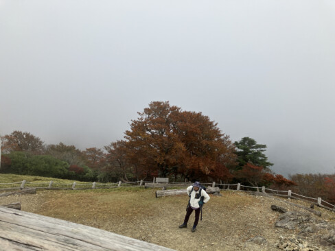 残念ながら、この時間帯はガスっていて眺望は全く利かず。それでも途中で熊野灘を微かに遠望することができました。