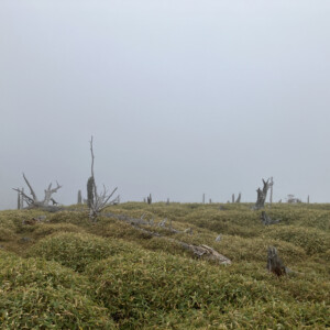 正木峠からの風景。何とも幻想的です。