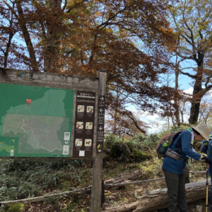 大蛇嵓から引き返し、牛石ヶ原の分岐付近で昼食を摂りました。