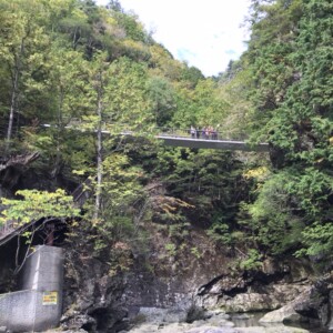風景に溶け込んで楽しいウォークです。