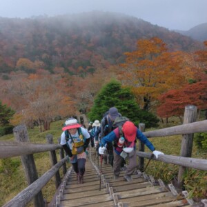 山頂直下、急な階段が続きました。