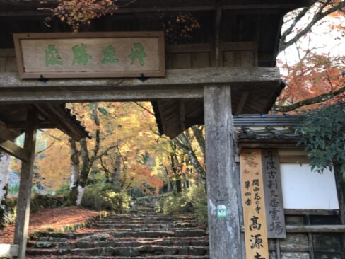 高源寺は、「丹波古刹九番霊場」「関西花の寺四番」。歴史あるお寺です。