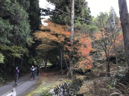 そして、高源寺まで戻ってきました。