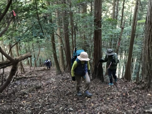 踏み跡も不鮮明な、杉林の中の急登を延々と登ります。