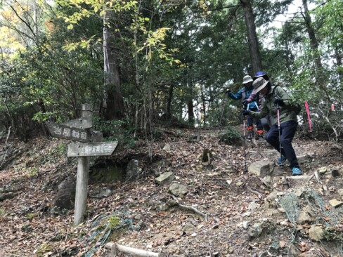 下山は、尾根コースをチョイス。