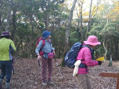 紅葉を見ながら、しばし休憩。