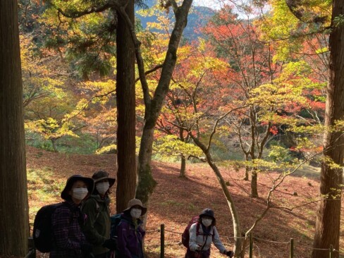 日の光に照らされてうっとりするような紅葉です。