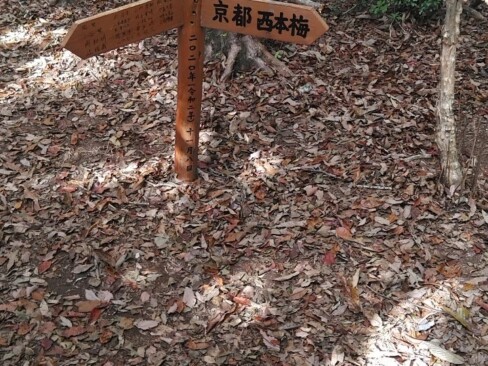 舩谷山到着。ここは、京都・大阪・兵庫の府県境。