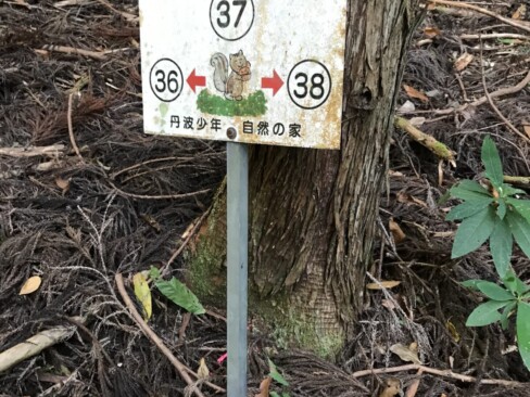 レスキューポイントかな。尾根コースには、標識がたくさんありました。