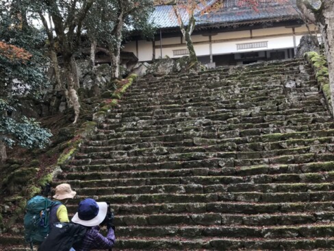方丈に続く急階段!!救急車が来ることもあるとか…要注意!!