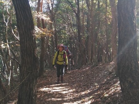 なだらかなハイキングコースを歩いていきます。