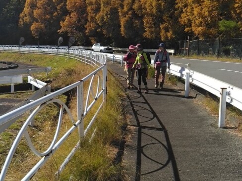 ハイキングコースが終わったら、駐車場までは舗装路を歩きます。楽しいおしゃべりが聞こえてきそう(^^♪