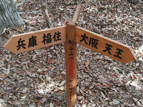 舩谷山は標高730m。こちらは、眺望は期待できません。
