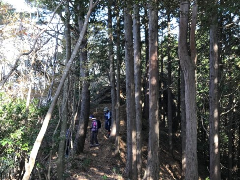 そして、気持ちの良い尾根道へ・・・足元は落ち葉でふかふか!!