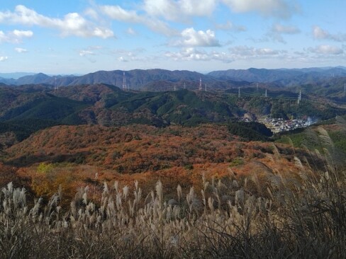 ススキの向こうに紅葉した山々が見えていい気持ち。
