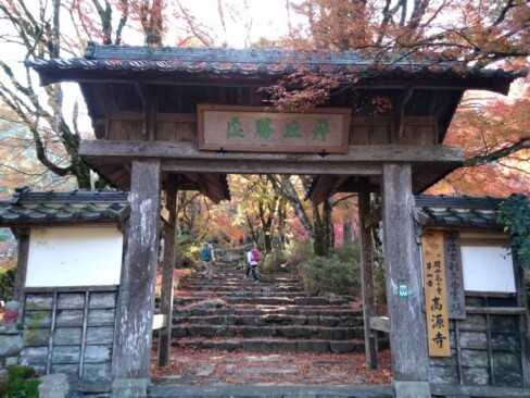 素敵な紅葉が期待できそう・・・