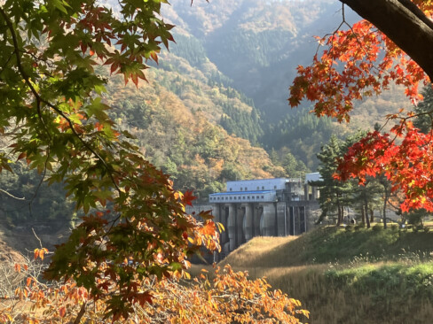 園内、遊歩道から遠望する大野ダム。