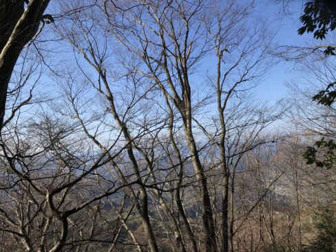 左手にやっと海が見えてきました。疲れが取れるわ~