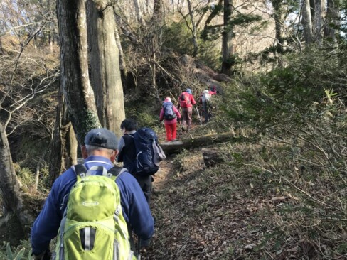 木の葉が落ちて明るくなった登山道を順調に進みます。