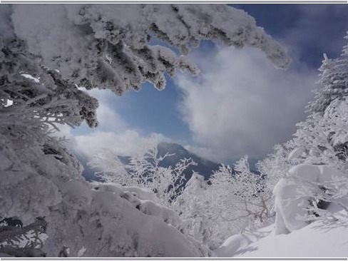 2014.1 八ヶ岳(N・T)